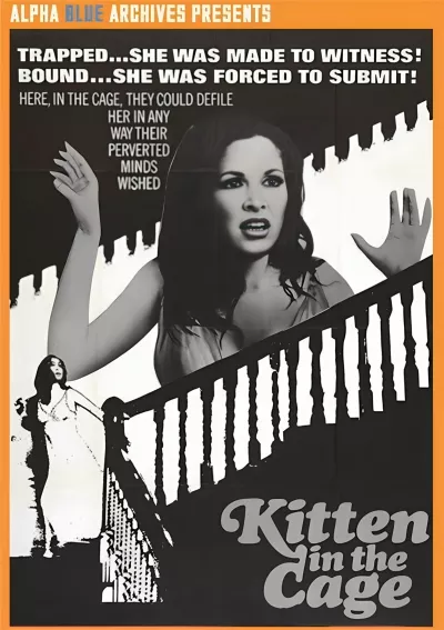 Kitten in the Cage
