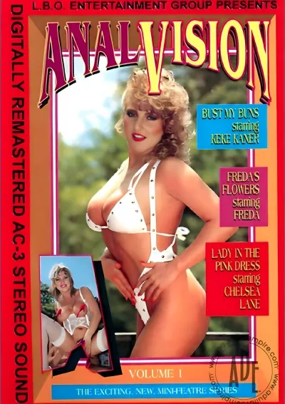 Anal Vision 1